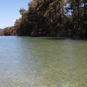 Meet your Posher, Abi skittlebunnies